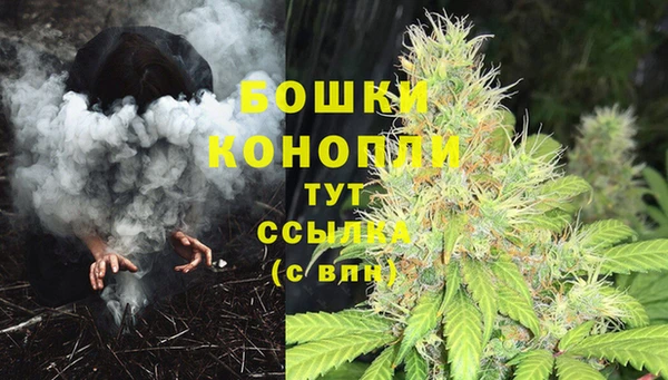 прущие крисы Армянск