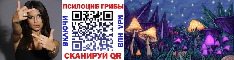 магазин продажи наркотиков  Мурманск  Псилоцибиновые грибы MAGIC MUSHROOMS 